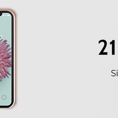 Image de collection pour : 21 Apple St