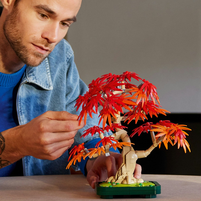 LEGO Botanical - Bonsaï d'érable rouge japonais 10348