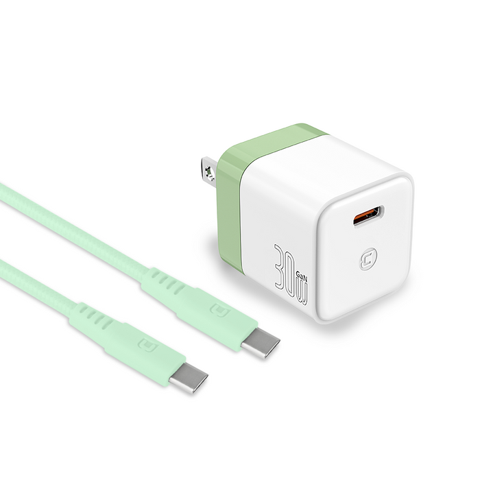 GaN 30W Wall Charger with 100W Type C to Type C Cable