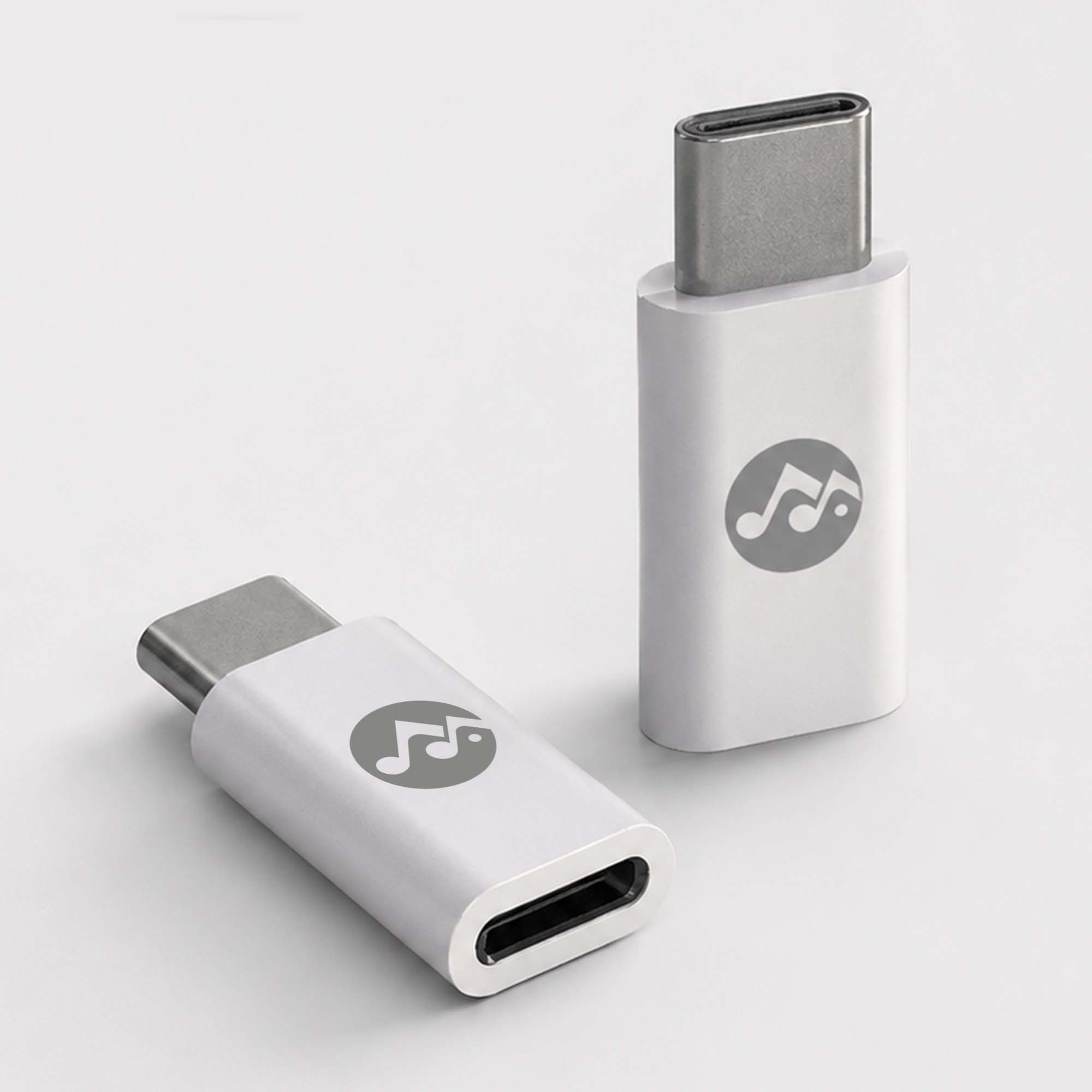 Rockstone Lightning to USB C Adapter (Dual Pack)