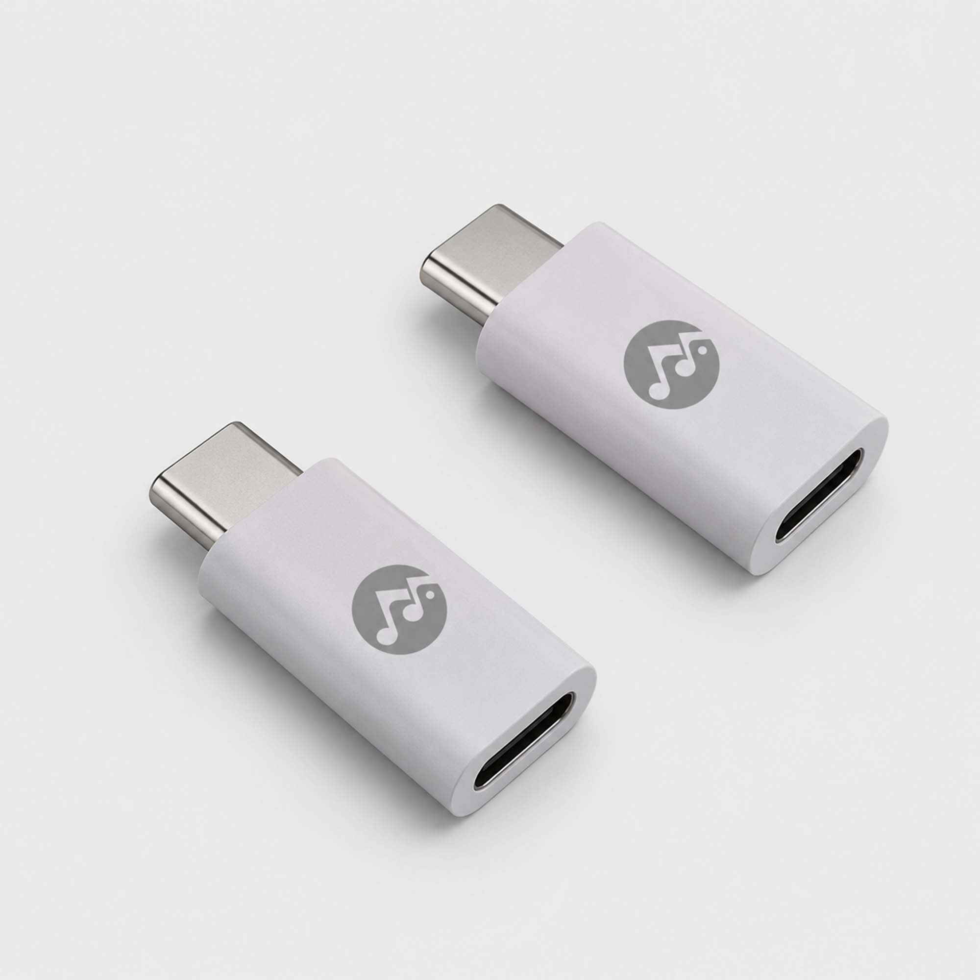 Rockstone Lightning to USB C Adapter (Dual Pack)