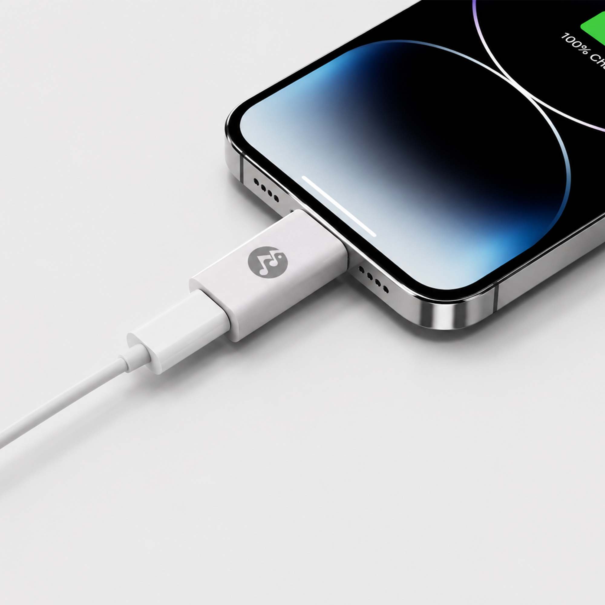 Rockstone Lightning to USB C Adapter (Dual Pack)
