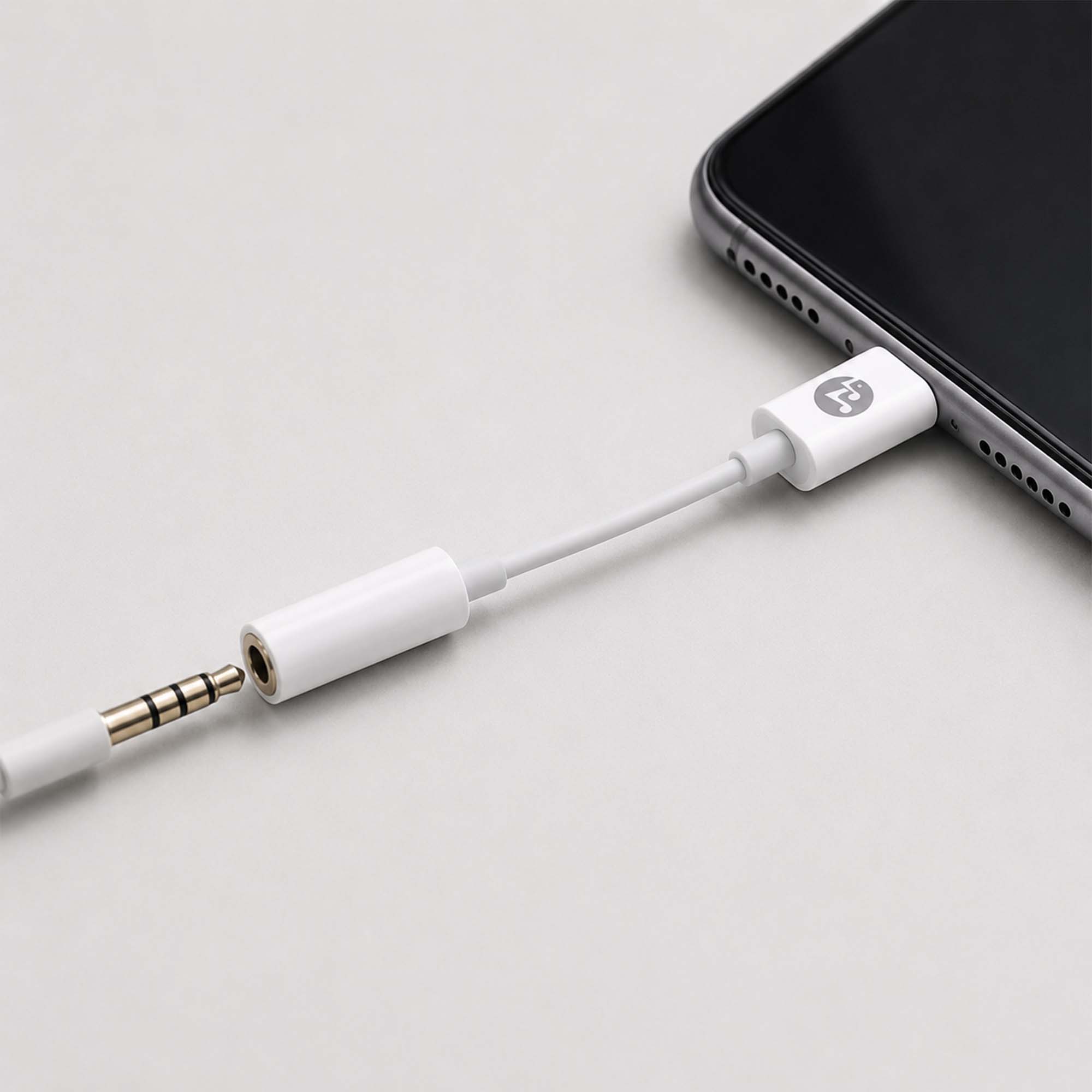Rockstone Lightning to 3.5mm AUX Adapter (Dual Pack)