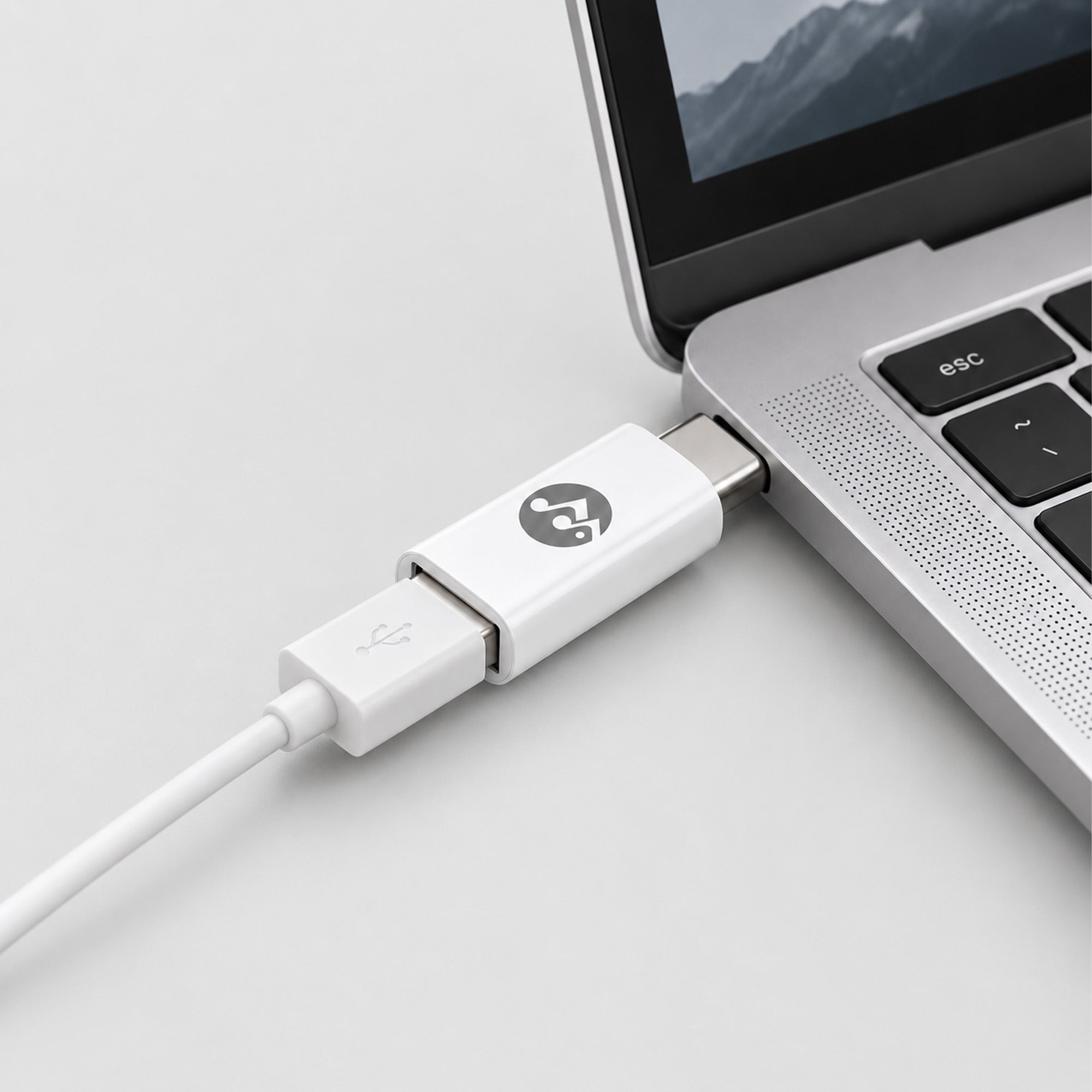 Rockstone USB-C to USB-A Adapter (2-Pack)